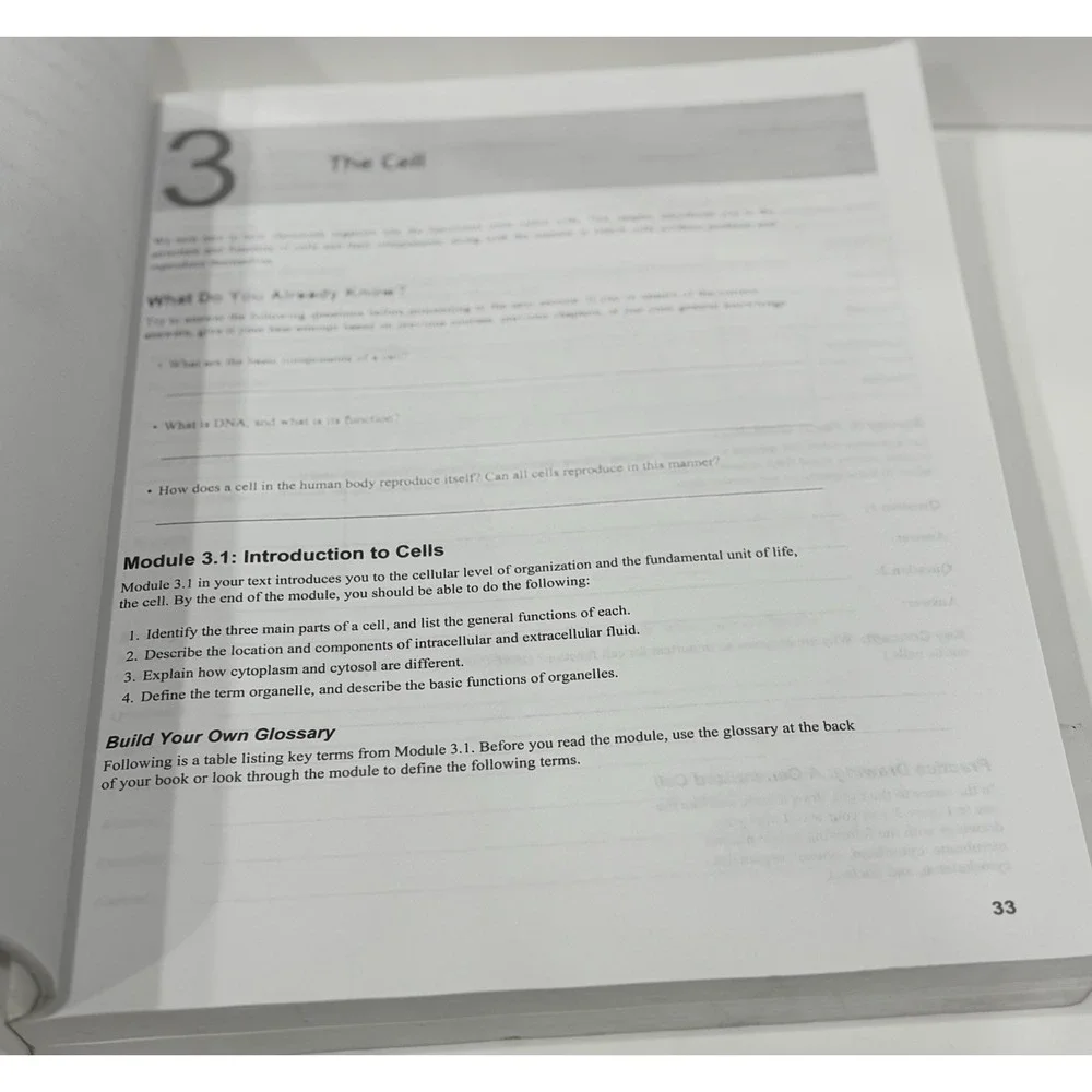 Human Anatomy & Physiology Active-Learning Workbook 2nd Ed Erin C. Amerman